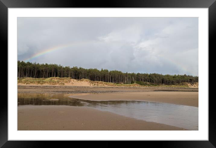 Rainbow over Newborough pinewood Framed Mounted Print by Jason Wells