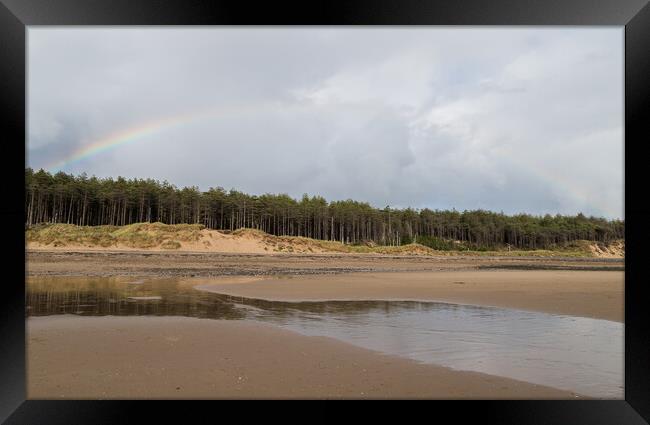 Rainbow over Newborough pinewood Framed Print by Jason Wells