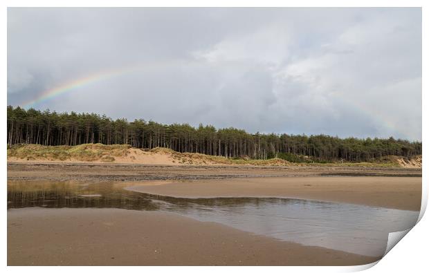 Rainbow over Newborough pinewood Print by Jason Wells
