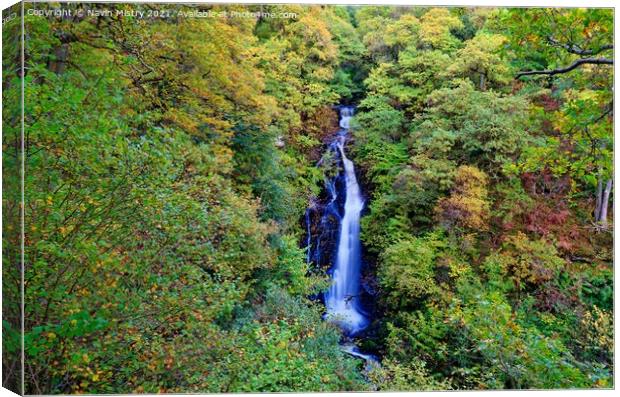 The Black Spout Waterfall, Pitlochry, Perthshire Canvas Print by Navin Mistry