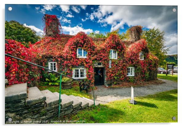 Llanrwst Cottage Wales Acrylic by Adrian Evans