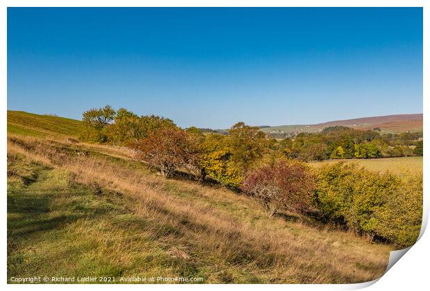 Autumn on the Pennine Way towards Newbiggin, Teesdale Print by Richard Laidler