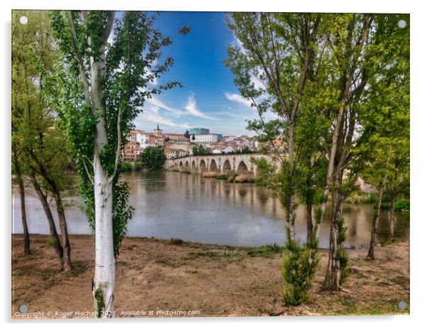 Bridge over the river Duero to Zamora, Spain Acrylic by Roger Mechan