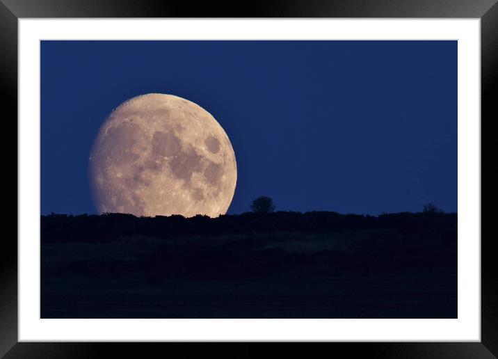 Moonrise silhouette Framed Mounted Print by Susan Snow