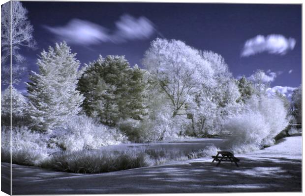 Beckford Lake in Infrared Canvas Print by Susan Snow
