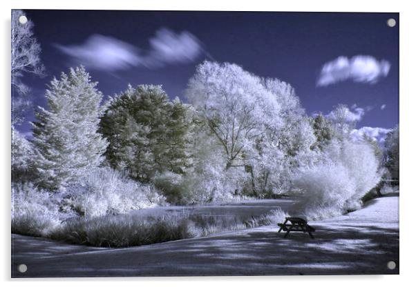 Beckford Lake in Infrared Acrylic by Susan Snow