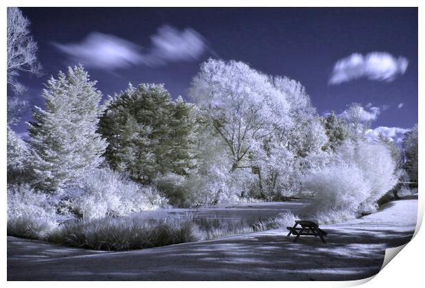 Beckford Lake in Infrared Print by Susan Snow