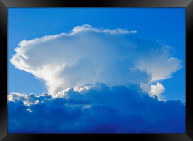 Large cumulus cloud Framed Print by Rory Hailes
