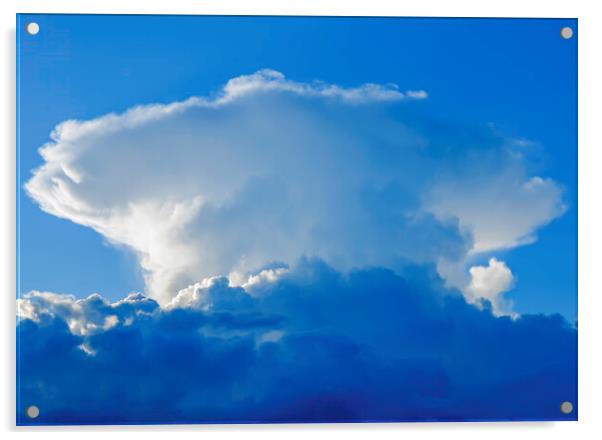 Large cumulus cloud Acrylic by Rory Hailes