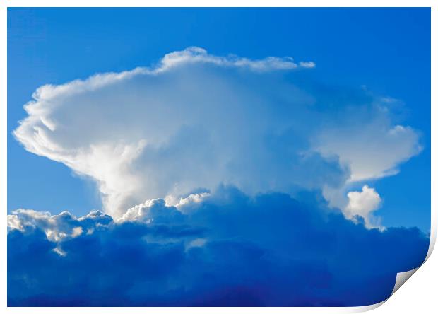 Large cumulus cloud Print by Rory Hailes