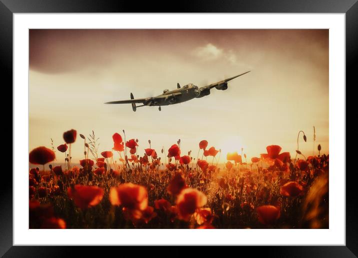 Lancaster Poppy Sunset Framed Mounted Print by J Biggadike