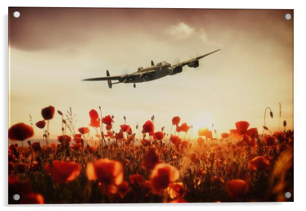 Lancaster Poppy Sunset Acrylic by J Biggadike