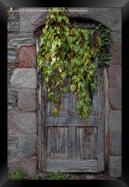 Door With Ivy Framed Print by Christine Lake