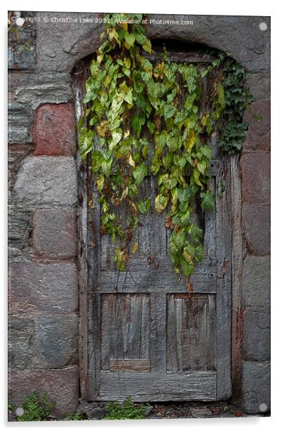 Door With Ivy Acrylic by Christine Lake