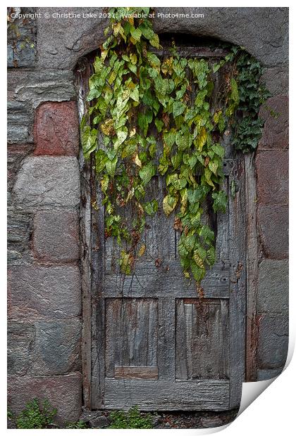 Door With Ivy Print by Christine Lake