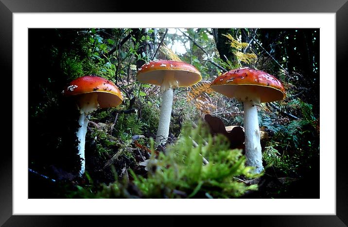 Enchanting Red Fungi Framed Mounted Print by Andrew Heaps