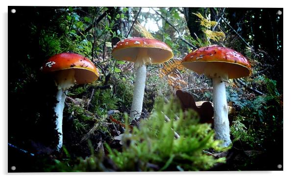 Enchanting Red Fungi Acrylic by Andrew Heaps