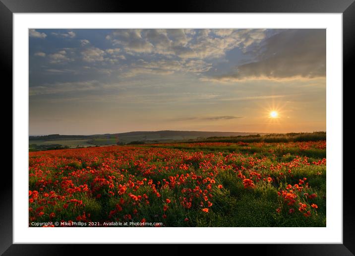Sunset poppy field in Sussex Framed Mounted Print by Mike Phillips