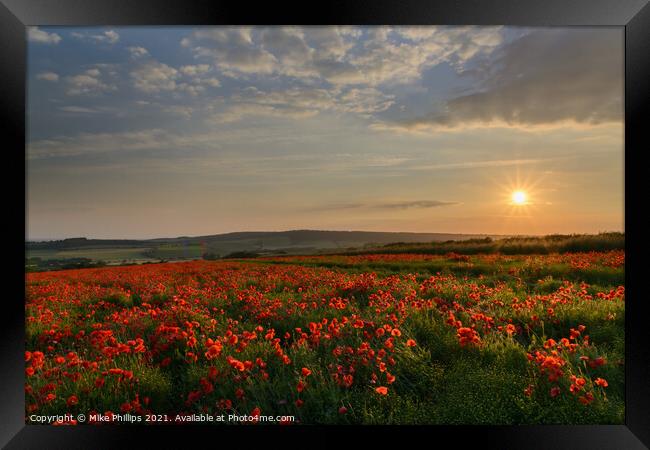 Sunset poppy field in Sussex Framed Print by Mike Phillips