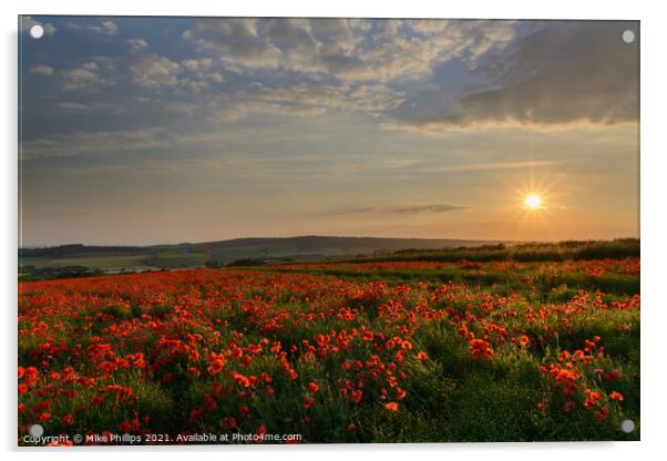 Sunset poppy field in Sussex Acrylic by Mike Phillips