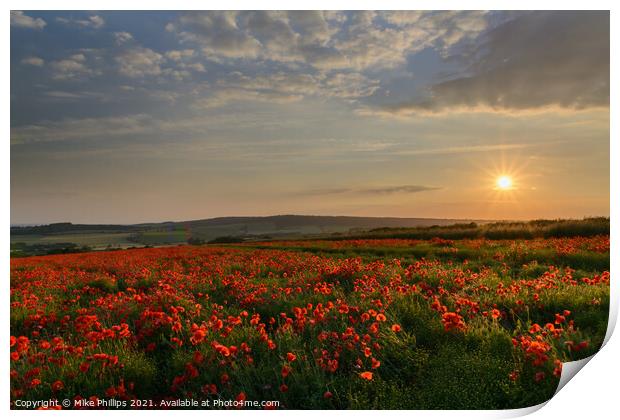 Sunset poppy field in Sussex Print by Mike Phillips