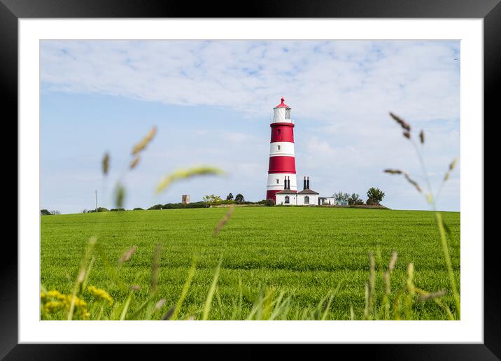 Long grass frames Happisburgh lighthouse Framed Mounted Print by Jason Wells
