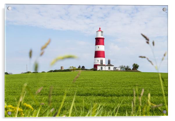 Long grass frames Happisburgh lighthouse Acrylic by Jason Wells