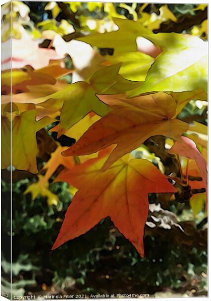 Autumn shades Canvas Print by Marinela Feier