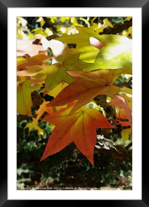 Autumn shades Framed Mounted Print by Marinela Feier