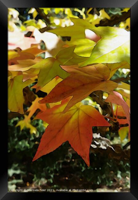 Autumn shades Framed Print by Marinela Feier