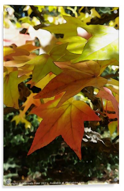 Autumn shades Acrylic by Marinela Feier