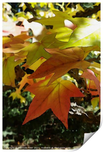 Autumn shades Print by Marinela Feier