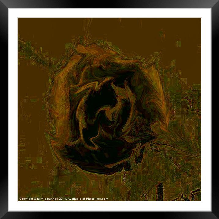 a rose by another name Framed Mounted Print by jaimie pannell