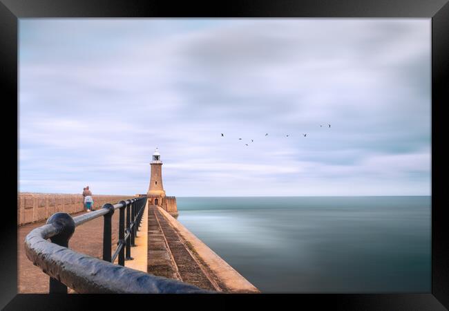 Tynemouth Pier and Lighthouse Framed Print by Mark Jones