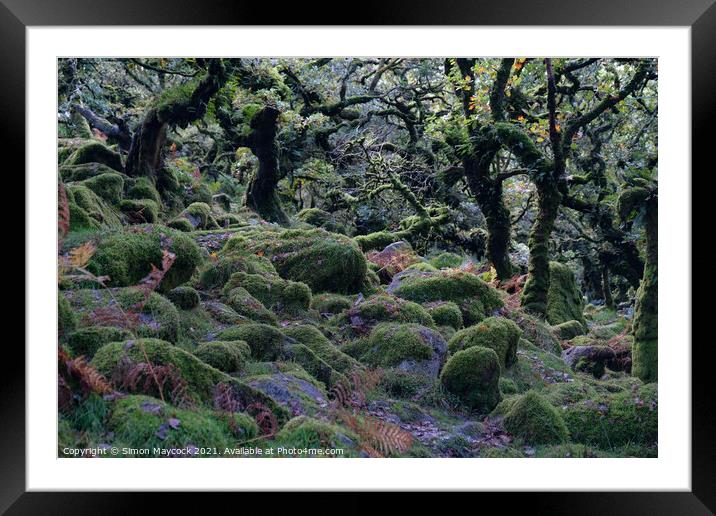 Wistmans Wood #4 Framed Mounted Print by Simon Maycock