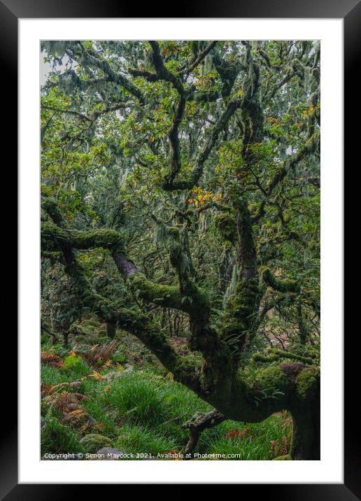Treebeard Framed Mounted Print by Simon Maycock