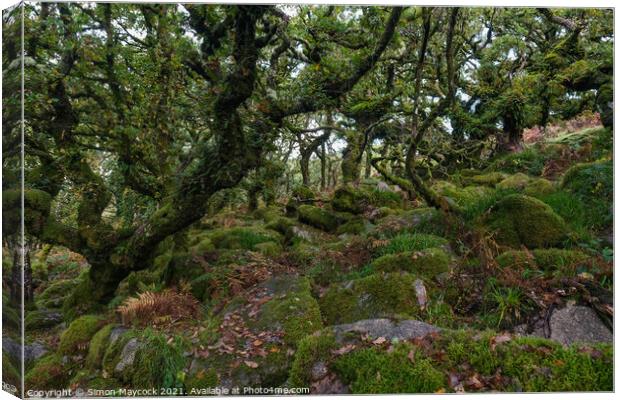 Wistmans Wood #7 Canvas Print by Simon Maycock