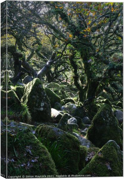 Wistman Wood Trees #10 Canvas Print by Simon Maycock