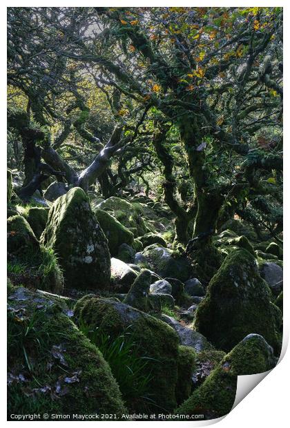 Wistman Wood Trees #10 Print by Simon Maycock