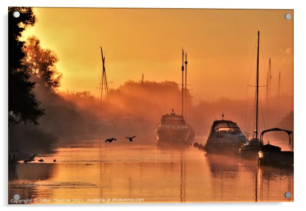 Misty river sunrise Acrylic by Gillian Thomas