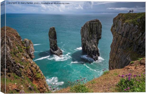 Elegug Stacks, Pembrokeshire, south Wales.  Canvas Print by Gary Parker