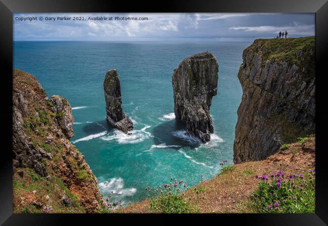 Elegug Stacks, Pembrokeshire, south Wales.  Framed Print by Gary Parker