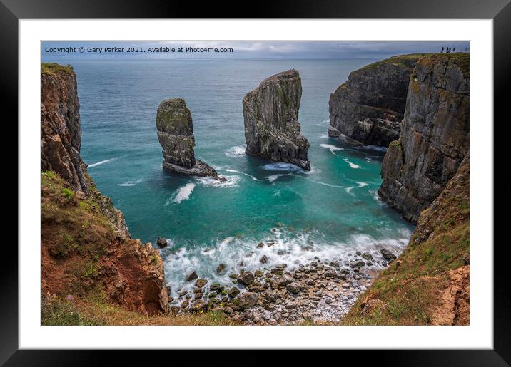 Elegug Stacks, Pembrokeshire, south Wales.  Framed Mounted Print by Gary Parker