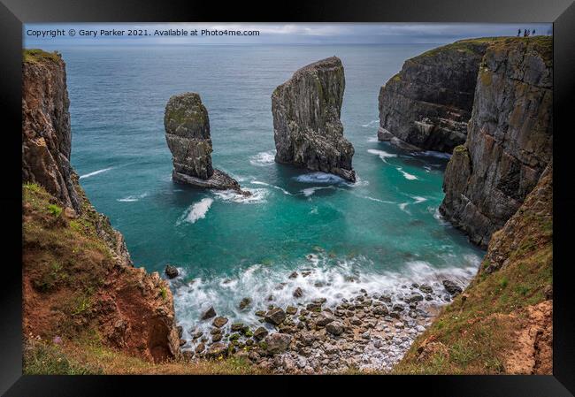 Elegug Stacks, Pembrokeshire, south Wales.  Framed Print by Gary Parker