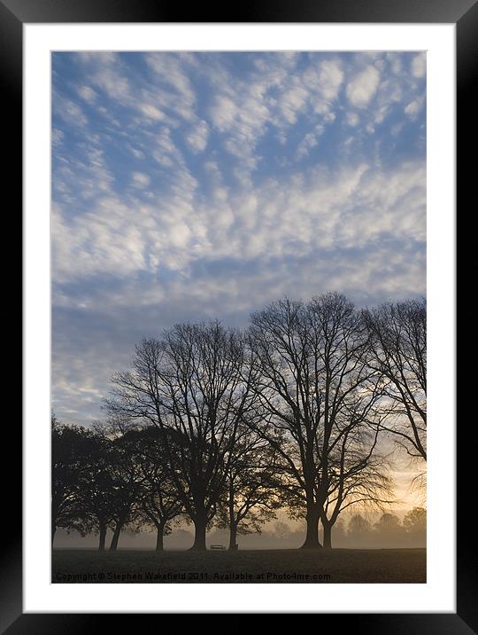 November misty morning Framed Mounted Print by Stephen Wakefield