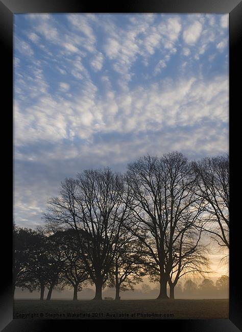 November misty morning Framed Print by Stephen Wakefield