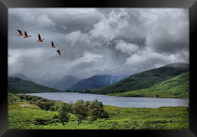 Loch Arklet, Scotland Framed Print by Sandi-Cockayne ADPS