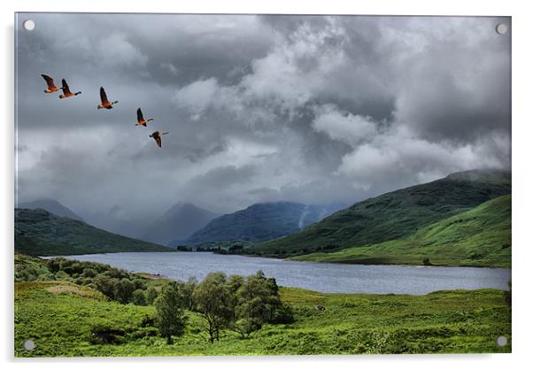 Loch Arklet, Scotland Acrylic by Sandi-Cockayne ADPS