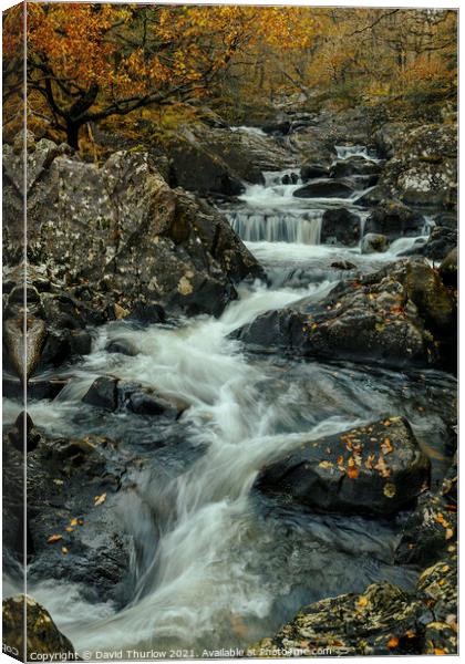 Outdoor water Canvas Print by David Thurlow