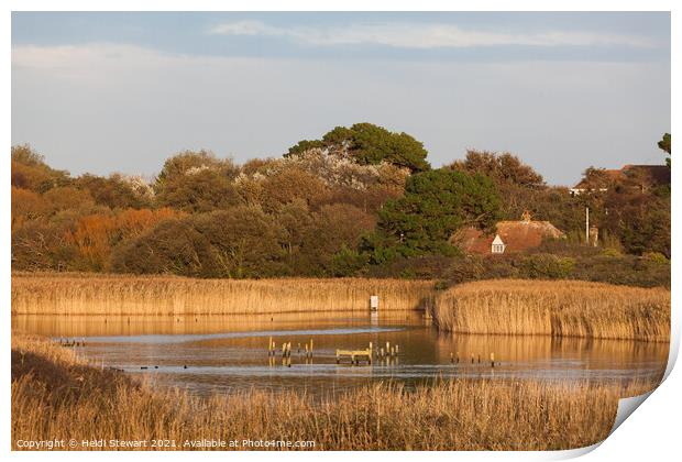 Titchfield Haven Nature Reserve Print by Heidi Stewart